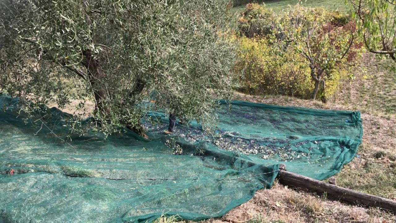 Villa Porsenna Chiusi Bagian luar foto