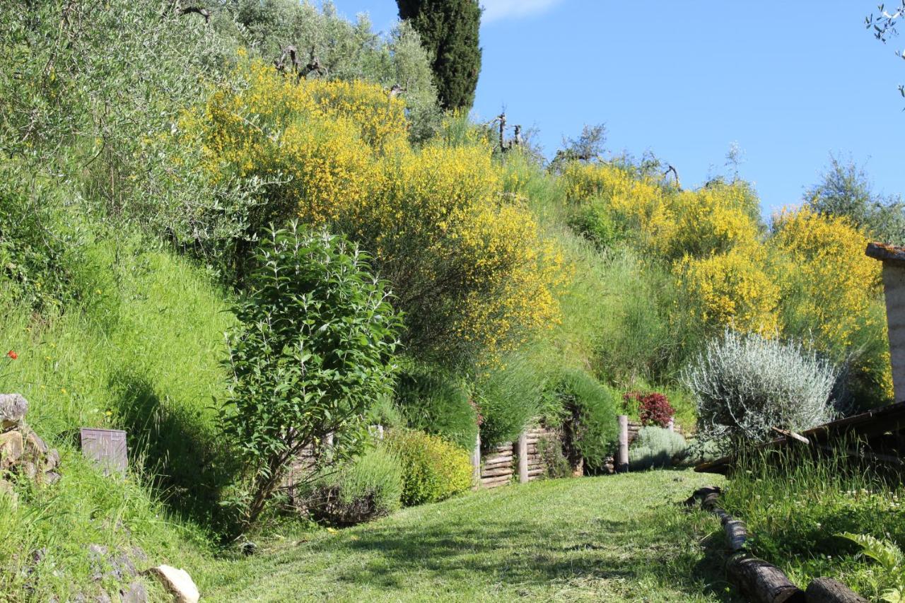Villa Porsenna Chiusi Bagian luar foto